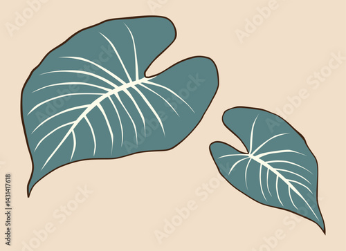 Two green taro leaves with a simple background
