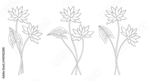 Set of three bouquets of nymphaea flowers. Bunches of blooming water wild plants. Line art, minimal style, contour. Botanical hand-drawn elements for design projects. Vector illustration