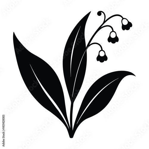 Lily of the valley flower on white background