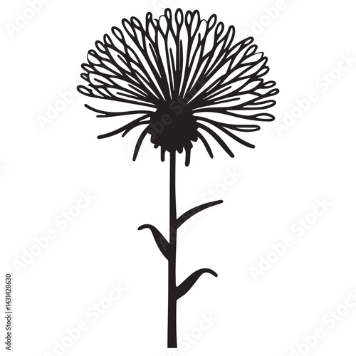 black and white flower