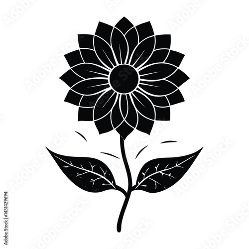 Flower growing from a cracked seed on white background