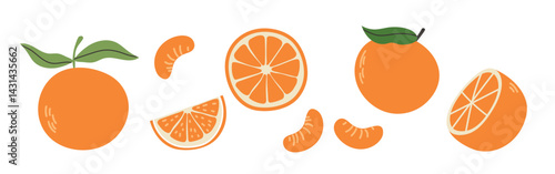Set of abstract oranges. Simple orange. Organic fruit for juice, smoothie or healthy food. Fruit collection design for interior, poster, banner. Vector illustration on white background.