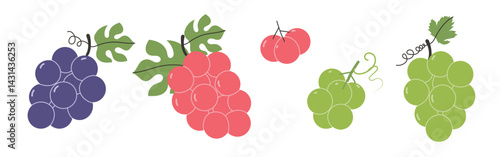 Set of abstract grapes. Simple grape. Organic fruit for juice, smoothie or healthy food. Fruit collection design for interior, poster, banner. Vector illustration on white background.