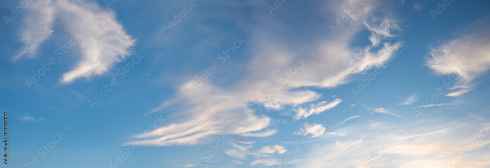sky panorama with feathery high cirrus clouds, lighted from sun in the afternoon