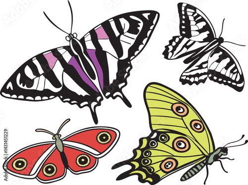 Exotic Butterfly and Moth Clipart Vector Collection