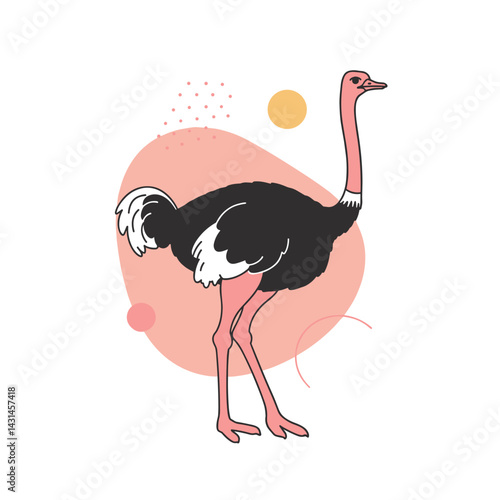 Ostrich with Background. Exotic wildlife concept and freedom