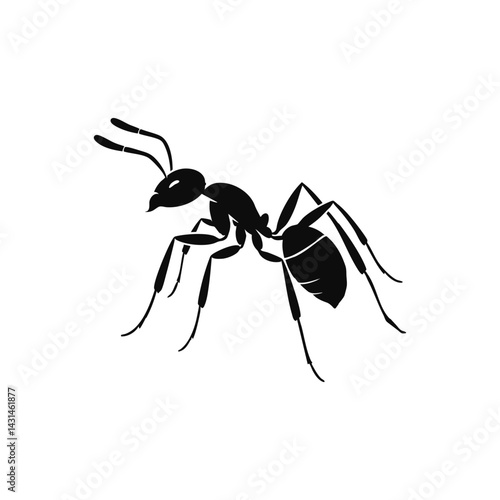 ants dep4