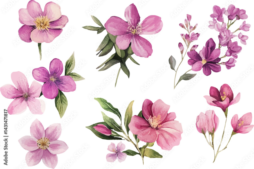 Fototapeta premium set of pink flowers
