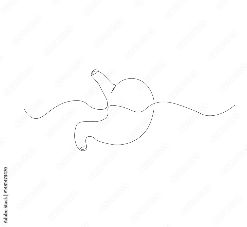 Obraz premium continuous line drawing of stomach, anatomy concept on minimalist white background. vector illustration