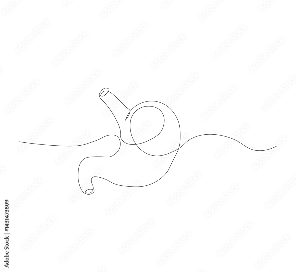 Obraz premium continuous line drawing of stomach, anatomy concept on minimalist white background. vector illustration
