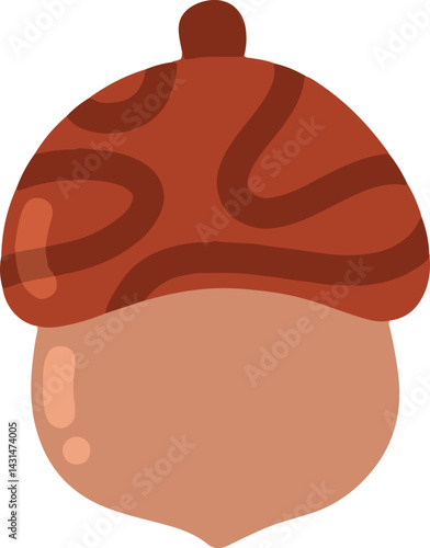 clip art cute watercolor illustration of nut, walnut, acorn autumn for background asset