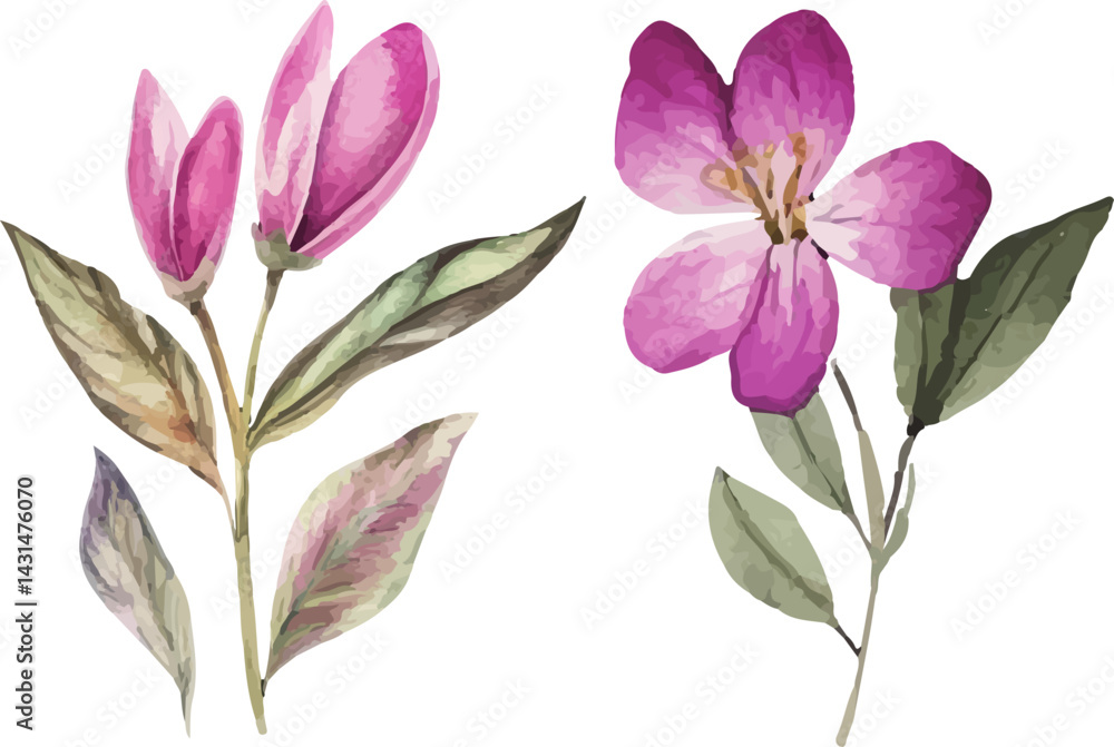Obraz premium set of pink and green leaves