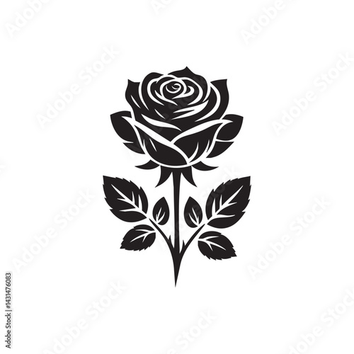 rose on a black background