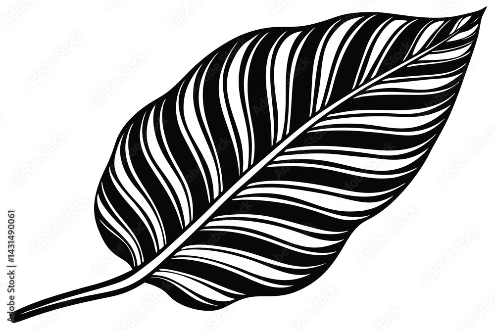 Obraz premium leaf silhouette vector illustration