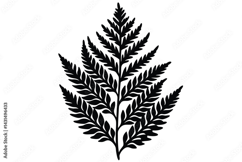 Naklejka premium asparagus fern silhouette vector illustration