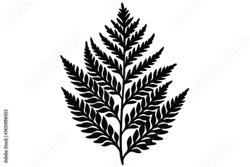 asparagus fern silhouette vector illustration
