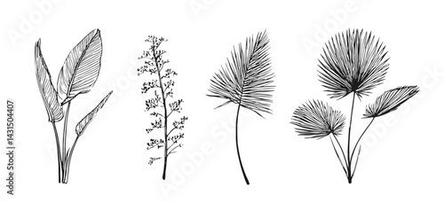 Stylish hand-drawn vector botanical illustrations showcasing diverse leaves and branches, perfect for nature enthusiasts and eco-friendly designs in print or digital projects.