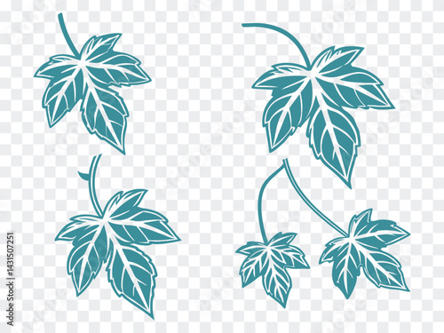 Hand Drawn Ivy Leaf Vector Set – Stylized Decorative Green Foliage Clipart with Transparent Background – Elegant Nature Elements for Design, Logo, Packaging, and Botanical Crafts