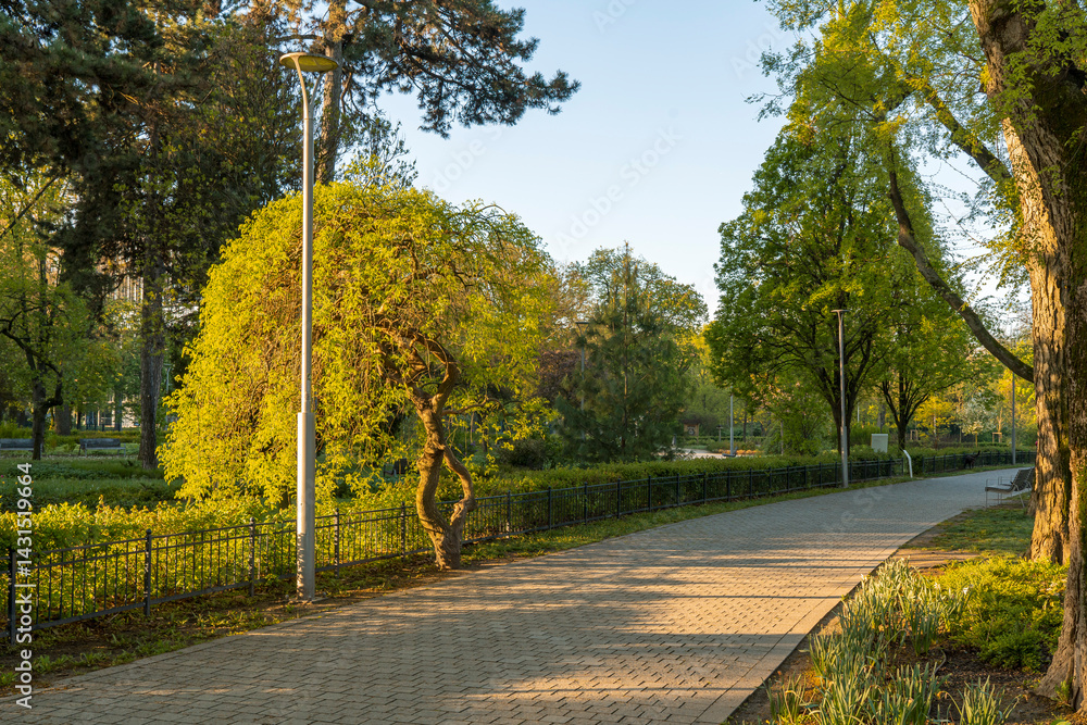 Spring moments in City park of Budapest. Hungarian name is Varosliget. Amazing sunny day with bright lights. The branches of trees are green because many leaves are growing on it.