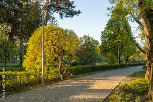 Obraz na płótnie Spring moments in City park of Budapest. Hungarian name is Varosliget. Amazing sunny day with bright lights. The branches of trees are green because many leaves are growing on it. w salonie