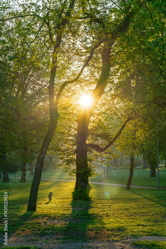Obraz na płótnie Spring moments in City park of Budapest. Hungarian name is Varosliget. Amazing sunny day with bright lights. The branches of trees are green because many leaves are growing on it. w salonie