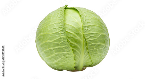 Complete, uncooked head of light green cabbage, with prominent, folded leaves, presented in a close-up image. photo