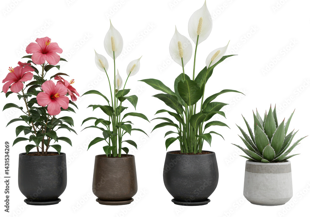 Fototapeta premium Botanical Quartet Potted plants blooming in darkness