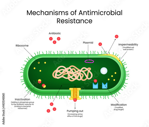 Mechanisms of Antimicrobial Resistance Visual Guide