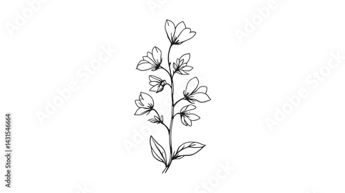 Larkspur line art floral design perfect for elegant prints