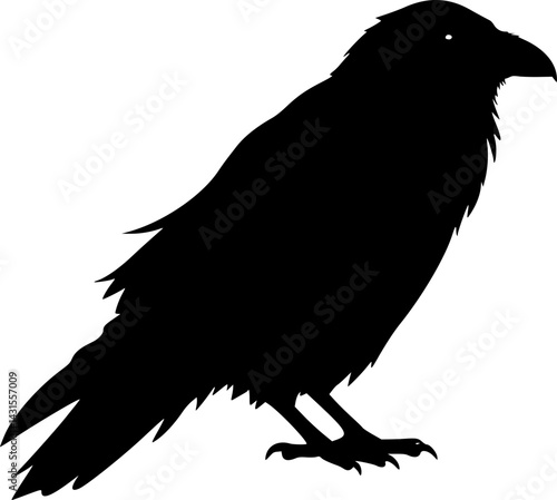 Raven Silhouette - Black Bird Vector, Gothic Illustration