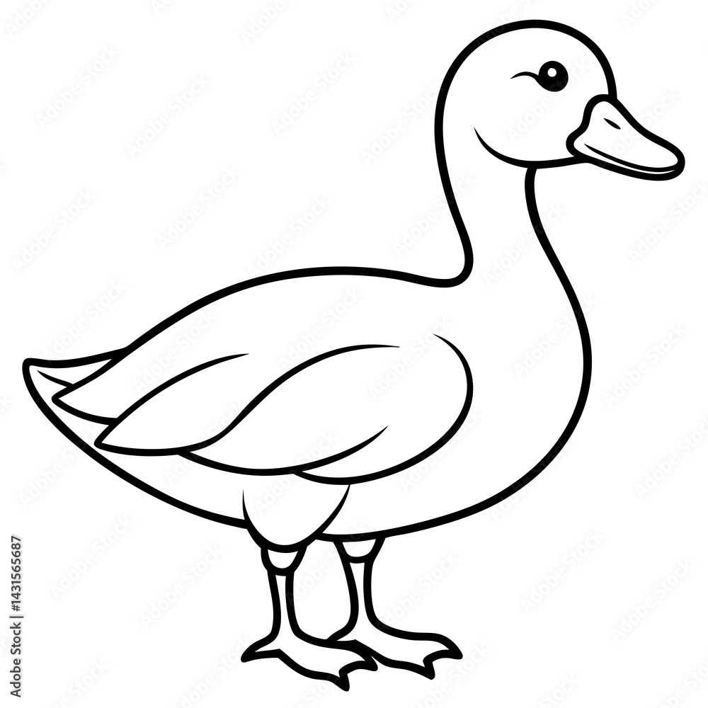 Modern Duck Line Drawing Modern Duck Line Drawing