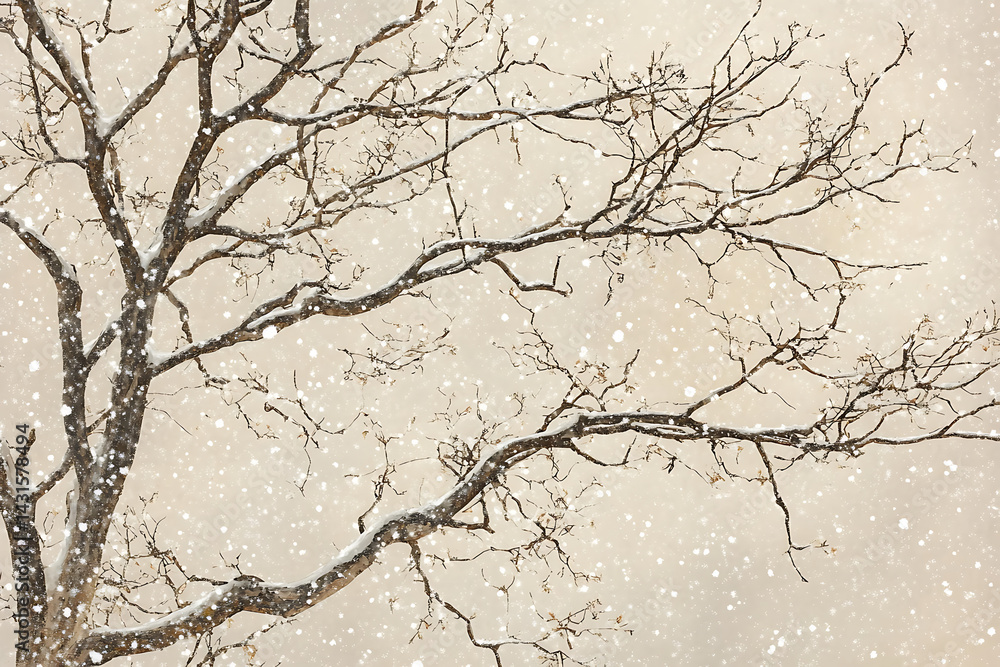Fototapeta premium Close-up view of bare tree branches lightly dusted with snow, delicate flakes falling gently, cold winter air, soft overcast lighting, minimal natural beauty, tranquil seasonal moment 