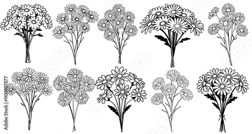 Chamomile flower bouquets rendered through precise line drawing, showcasing botanical variation for graphic design and creative projects