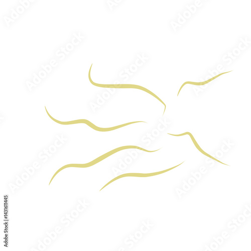 Illustration Ascaris