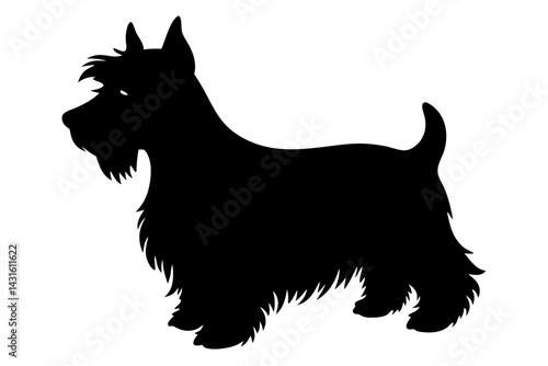 Scottish terrier dog silhouette elegant pet breed illustration simple vector, scottish terrier, dog silhouette, pet, canine, breed, scottish, terrier, vector, illustration, animal, black, isolated