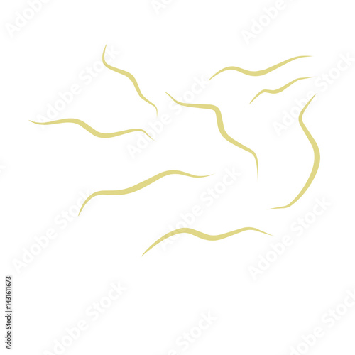 Illustration Ascaris
