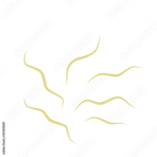 Illustration Ascaris
