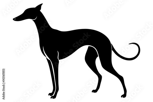 Elegant black greyhound silhouette vector design graceful canine art illustration, greyhound, silhouette, dog, animal, canine, pet, breed, vector, illustration, design, art, graceful, race, running