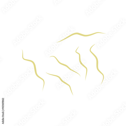 Illustration Ascaris