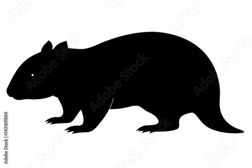 Vector silhouette of a wombat walking australian wildlife mammal illustration black design, wombat, silhouette, vector, animal, australia, australian, mammal, wildlife, marsupial, nature, icon, black