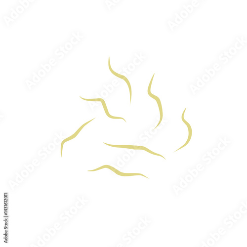 Illustration Ascaris