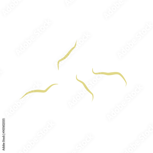 Illustration Ascaris