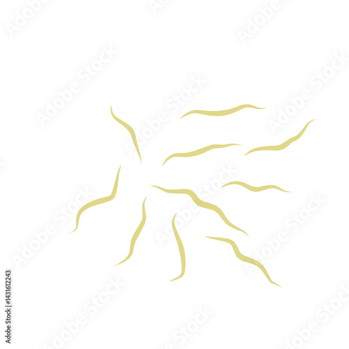 Illustration Ascaris