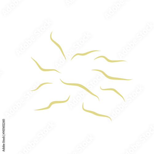 Illustration Ascaris