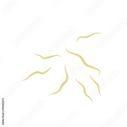 Illustration Ascaris