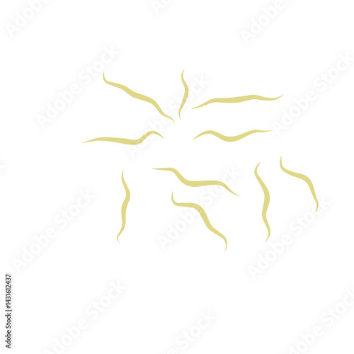 Illustration Ascaris