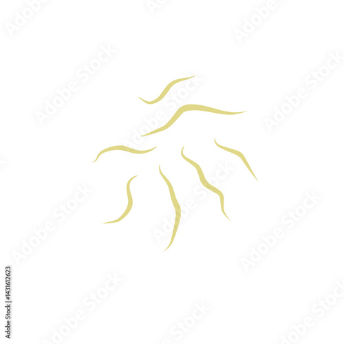 Illustration Ascaris
