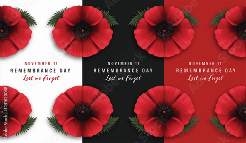Remembrance Day Poppies: Lest We Forget remembrance day vector design 

