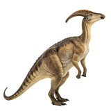 Parasaurolophus dinosaur isolated on a transparent background