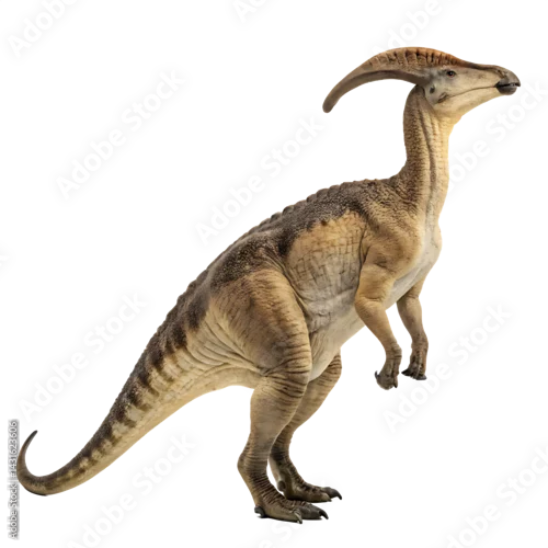 Fototapeta Parasaurolophus dinosaur isolated on a transparent background